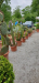 20190520_115142