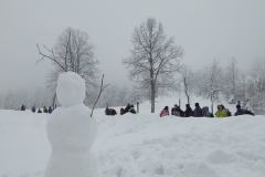 Ustvarjanje na snegu